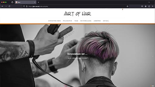 Website Team Art of Hair